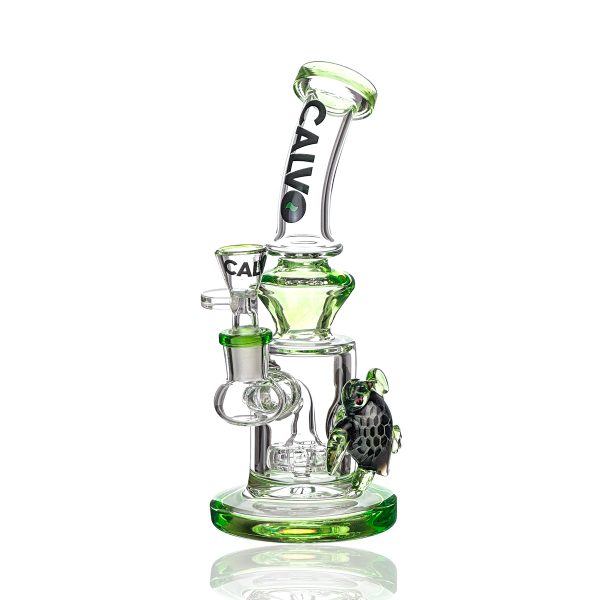 TURTLE RIG